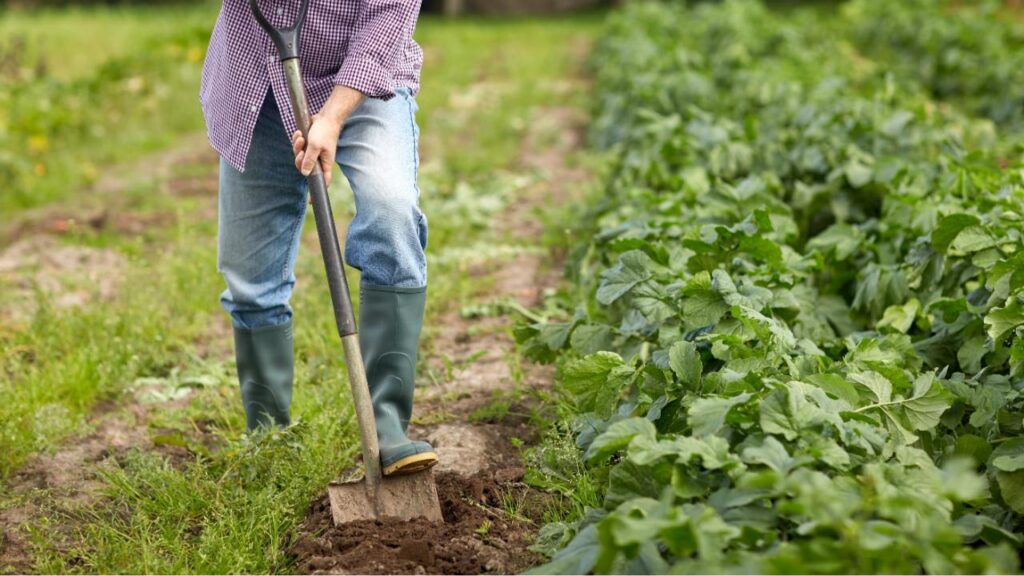 aposentadoria do agricultor idade